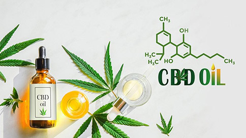 CBD vs. THC What's the Difference  2