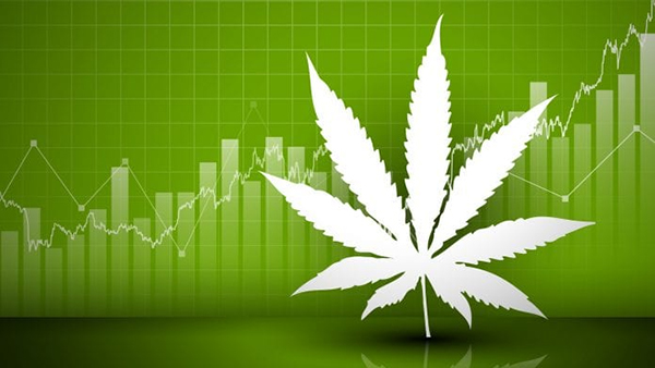 Cannabis sales 2024