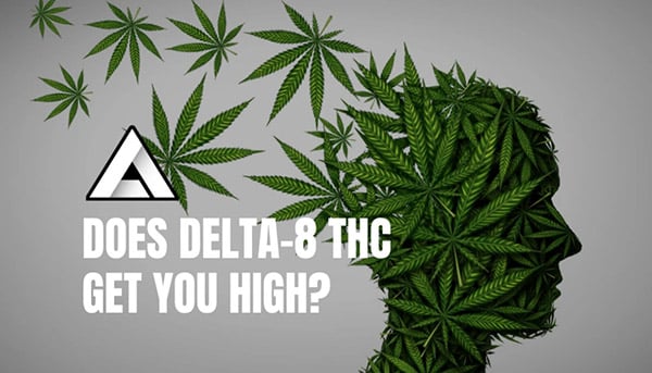 Does Dleta 8 make you high