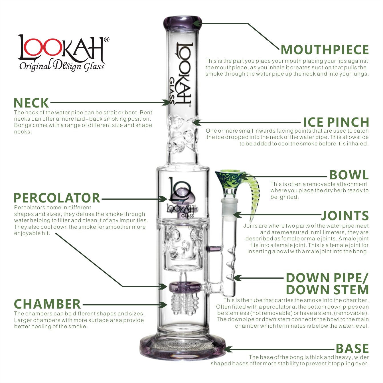 Glass Bongs - Anatomy of a bong