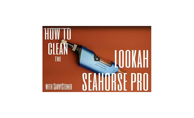 Lookah seahorse pro is severely clogged. Can't get brush through. Tips to  clean? (I know to clean it often, who was using it didn't.) :  r/CannabisExtracts